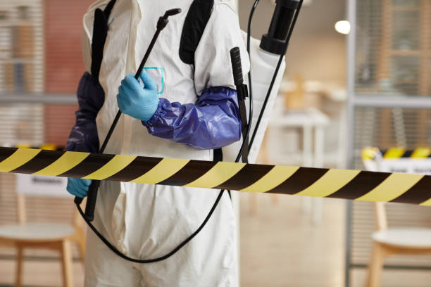 Professional Sewage Cleanup technician working in Hydes, MD
